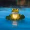 Floating Frog LED Light by Ashland®